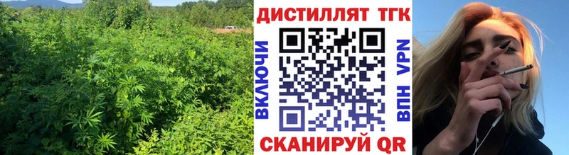 Дистиллят ТГК гашишное масло  Купить где  Кимры 
