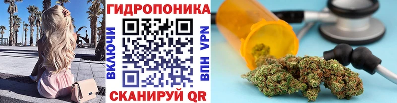 Бошки марихуана планчик  Купить закладки  Кимры 